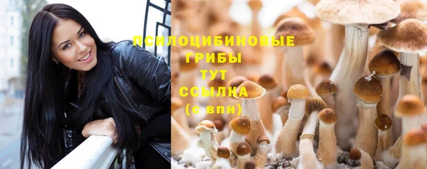 соль курить ск Бронницы