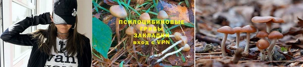 соль курить ск Бронницы