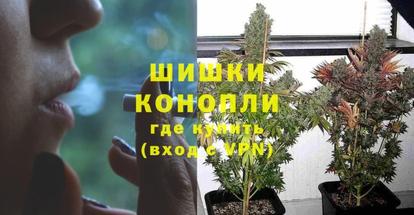 наркотики Бородино