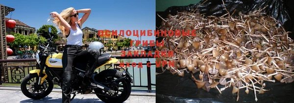 наркотики Бородино