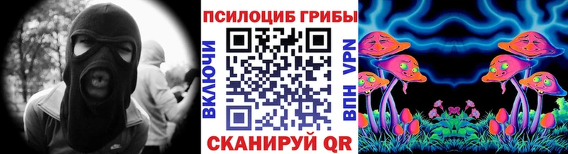 даркнет сайт  Дедовск  Галлюциногенные грибы Psilocybe 